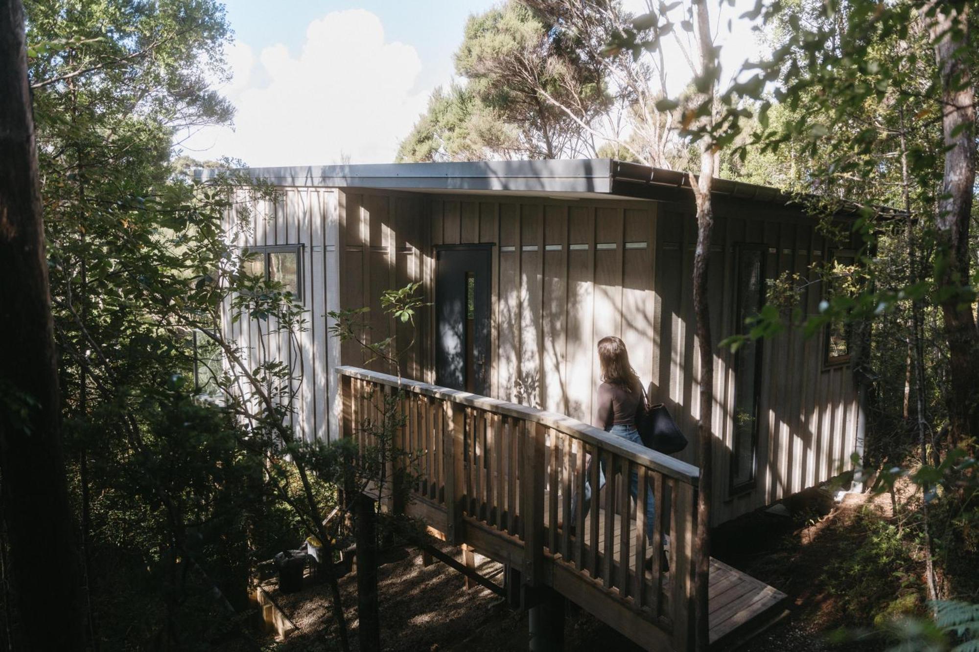 Treetop Tranquility At Rekindle Tree Houses Opua Exteriér fotografie